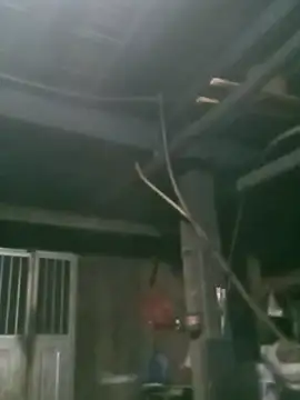 matbiec- online show from 11-19-25, 10:32