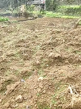 tian7788 online show from 02-17-26, 03:03