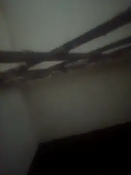 Pallu Asha online show from 04-28-26, 03:50