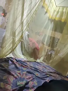 taylor1991V online show from 11-24-25, 07:19