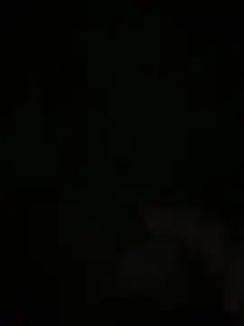 Snapshot of Manfredini607452 chatting on 11-18-25, 12:49 Manfredini607452 online show from 11-18-25, 12:49