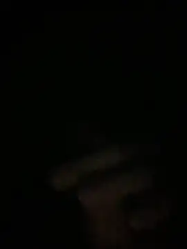 Snapshot of Manfredini607452 chatting on 11-26-25, 12:44 Manfredini607452 online show from 11-26-25, 12:44