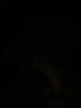 Snapshot of Manfredini607452 chatting on 02-04-26, 01:11 Manfredini607452 online show from 02-04-26, 01:11