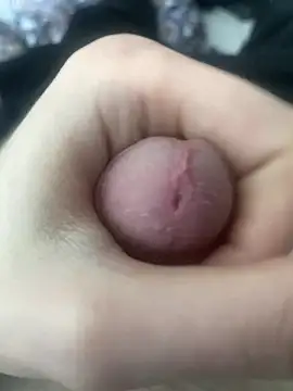 Gaypride online show from 04-29-26, 03:38