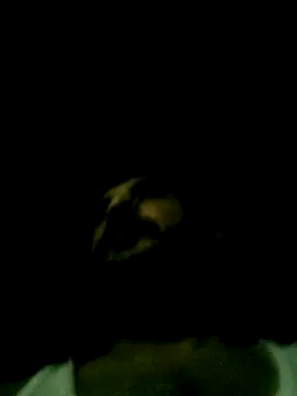 Yerackhip online show from 03-24-26, 07:46