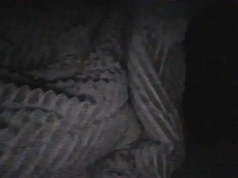 rannkyy online show from 12-01-25, 07:52