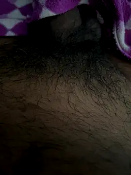 playboyoftelugu online show from 11-11-25, 05:40