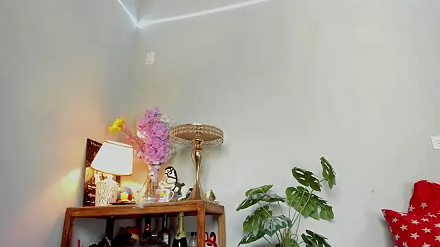 Snapshot of lucian_davii chatting on 07-28-26, 04:39 lucian davii online show from 07-28-26, 04:39