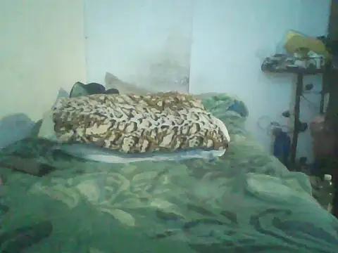 GuilleHotsexy online show from 11-11-25, 01:00