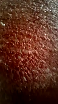 CEEKAYPRO online show from 03-15-26, 09:04