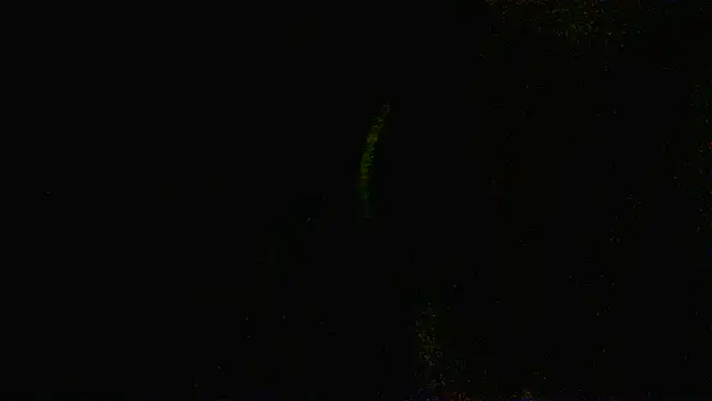 Zulreyna online show from 05-06-26, 04:52