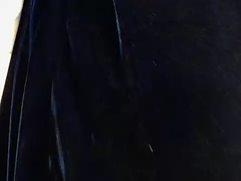 Snapshot of LannyShell chatting on 11-29-25, 05:05 LannyShell online show from 11-29-25, 05:05