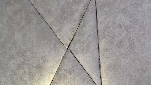 Snapshot of LannyShell chatting on 12-17-25, 05:08 LannyShell online show from 12-17-25, 05:08