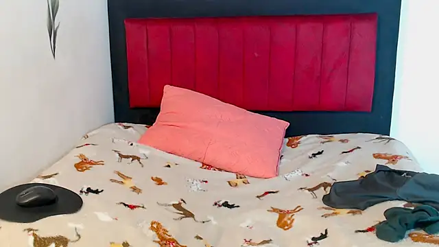 Snapshot of AMARYXS chatting on 02-13-26, 02:24 AMARYXS online show from 02-13-26, 02:24