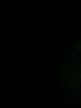 NIGHTFOX-89 online show from 11-08-25, 05:40