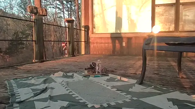 Snapshot of 2099RivenXXX chatting on 02-28-26, 11:50 2099RivenXXX online show from 02-28-26, 11:50