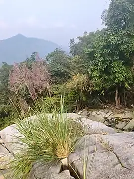 Lynly k2 online show from 12-21-25, 05:25