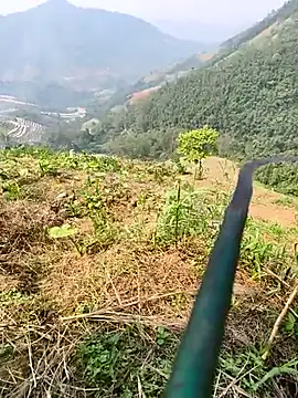 Lynly k2 online show from 04-08-26, 07:19