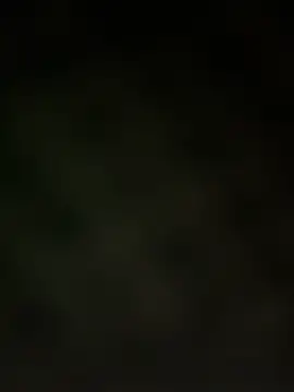 trickydickydaddy online show from 03-13-26, 07:59