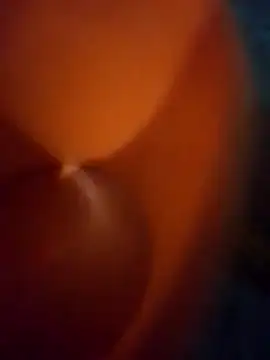 Snapshot of WillfulVideo chatting on 03-24-26, 08:08 WillfulVideo online show from 03-24-26, 08:08