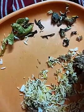 Snapshot of hyderabad_single chatting on 03-21-26, 05:49 hyderabad single online show from 03-21-26, 05:49