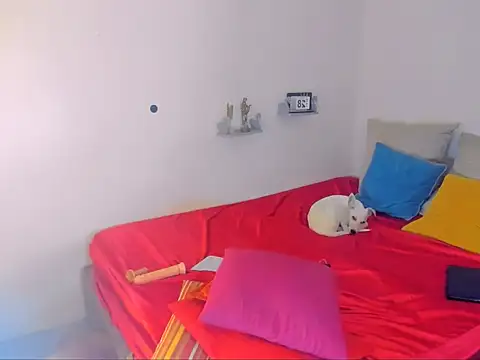 Snapshot of hotcassy chatting on 02-25-26, 09:57 hotcassy online show from 02-25-26, 09:57