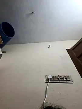 Varshatamil online show from 11-13-25, 08:30