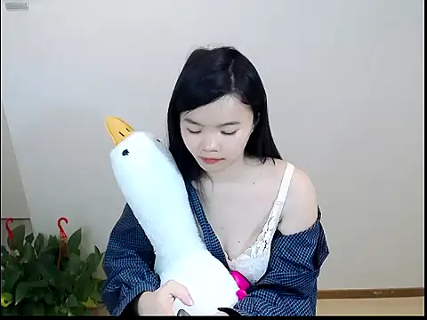 Shaurk online show from 02-01-26, 03:49