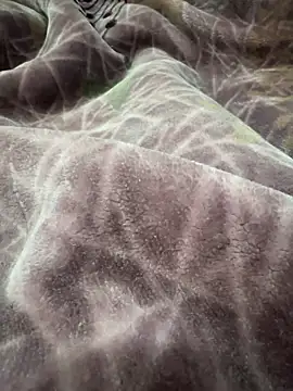 Snapshot of Afganiboy chatting on 02-04-26, 01:50 Afganiboy online show from 02-04-26, 01:50