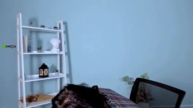 Snapshot of lika_pop chatting on 01-17-26, 08:01 lika pop online show from 01-17-26, 08:01