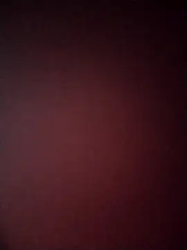 Snapshot of Guarnerstyle chatting on 12-22-25, 04:42 Guarnerstyle online show from 12-22-25, 04:42