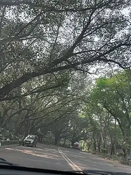 Snapshot of sexyayeshadesi chatting on 11-20-25, 05:29 sexyayeshadesi online show from 11-20-25, 05:29