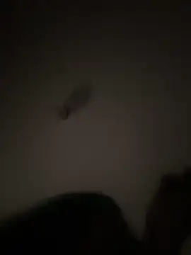 Motherbigbus online show from 04-29-26, 11:25