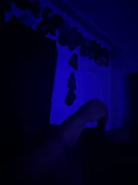 kingping87 online show from 09-26-25, 10:08