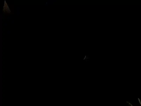 Savannah Cock online show from 02-23-26, 01:03