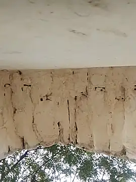 Snapshot of Xxx_suhana chatting on 11-27-25, 07:54 Xxx suhana online show from 11-27-25, 07:54