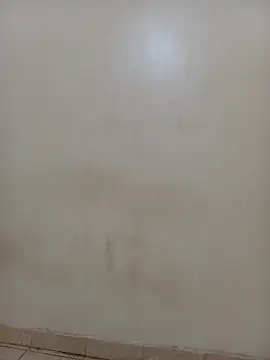 AnastiaBushlah online show from 03-02-26, 05:19