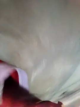 Snapshot of Minsexy66 chatting on 12-02-25, 03:23 Minsexy66 online show from 12-02-25, 03:23