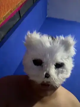 Snapshot of aricub chatting on 12-16-25, 12:59 aricub online show from 12-16-25, 12:59