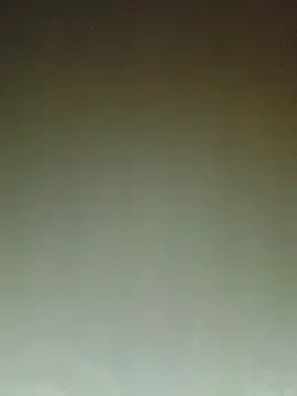 Snapshot of ArgentinaShani chatting on 02-11-26, 03:00 ArgentinaShani online show from 02-11-26, 03:00