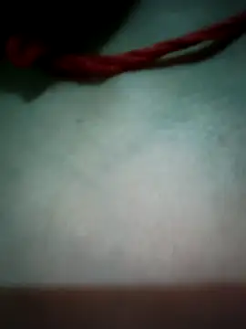 Punam panjabi online show from 06-11-26, 03:10