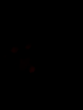 soubi777 online show from 12-02-25, 05:57