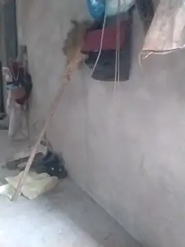 Snapshot of tieutam122 chatting on 03-02-26, 10:33 tieutam122 online show from 03-02-26, 10:33