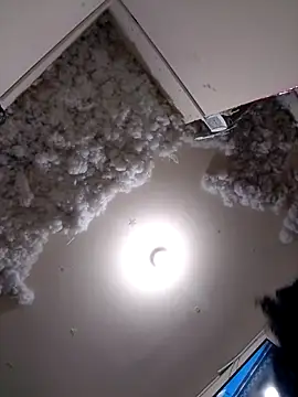 Snapshot of 4ikoou37 chatting on 11-26-25, 10:44 4ikoou37 online show from 11-26-25, 10:44