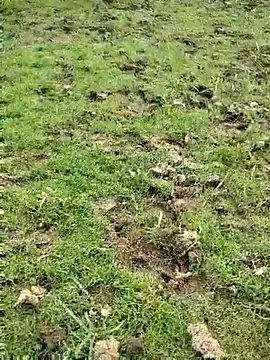 88zaifkhan88 online show from 03-15-26, 11:38