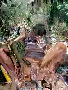 LoveDirty3x online show from 12-03-25, 11:25