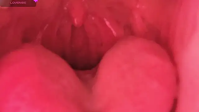 LT-333 online show from 02-07-26, 08:45