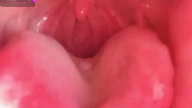 LT-333 online show from 02-10-26, 04:33