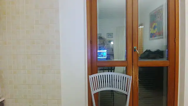 AMIRDIB2025 online show from 04-29-26, 02:48