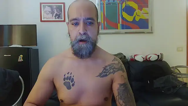 AMIRDIB2025 online show from 06-15-26, 01:57